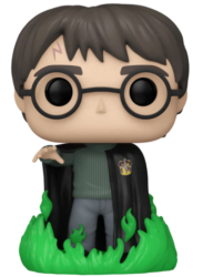 Harry Potter (com Pó de Flú) 153