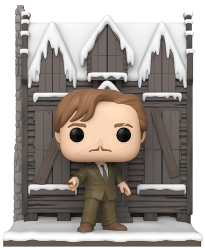 Funko Pop #156 Remo Lupin (com a Casa dos Gritos) - Funko Pop Harry ...