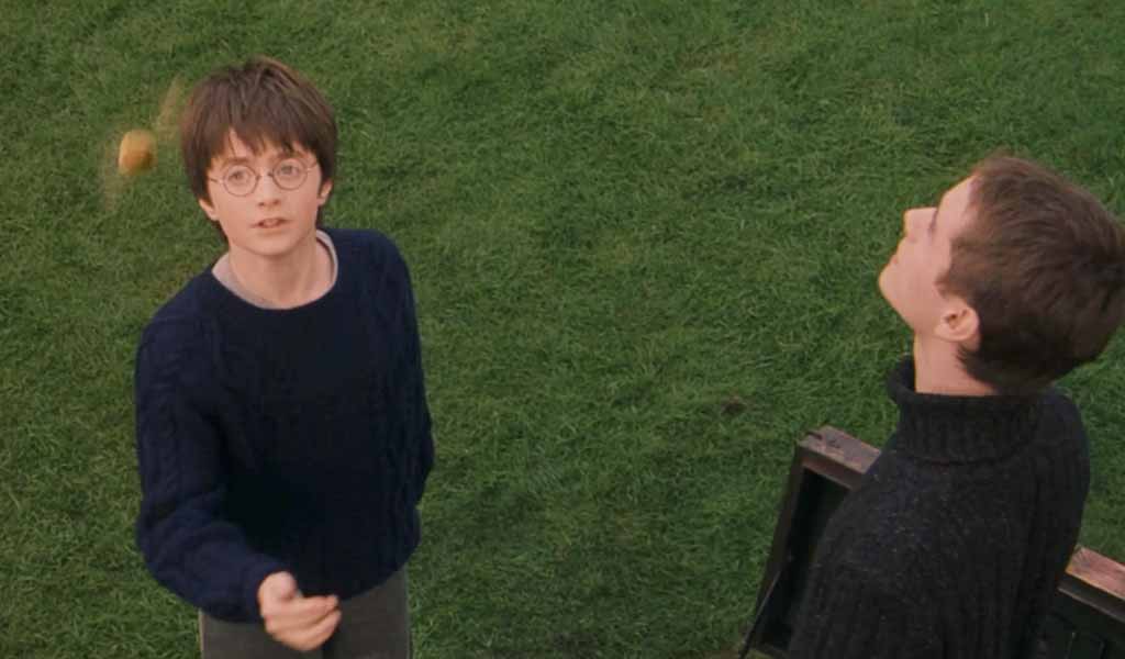Harry Potter e Olívio Wood