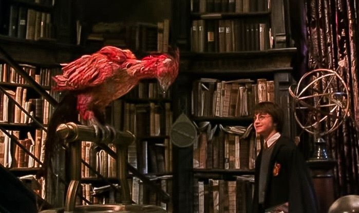 A fênix em Harry Potter e a Câmara Secreta