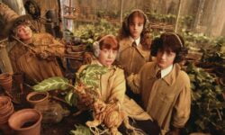 Câmara Secreta de volta aos cinemas em sessão especial