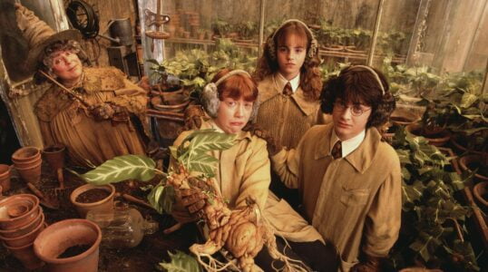 Imagem promocional de Harry Potter e a Câmara Secreta. Cena do filme com trio principal segurando mandrágoras e a prof. Sprint ao fundo.