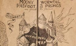 Essa é a única cena pós-créditos em Harry Potter