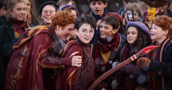 Harry Potter e seus amigos