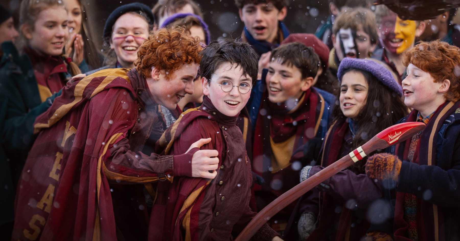 Harry Potter e seus amigos